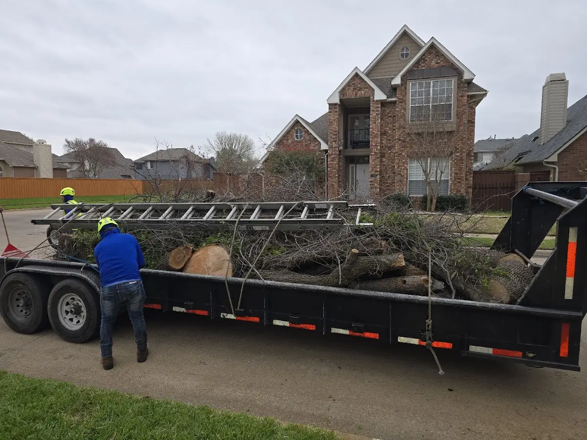 Expert Tree Pest Control with proper safety equipment in Clarksburg